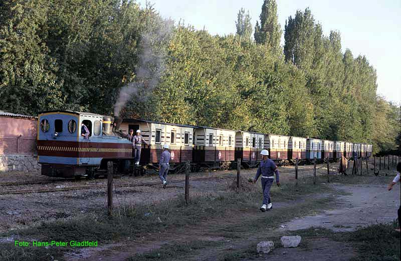 http://www.dampfhappi.de/feldbahn/eskisehir6.jpg